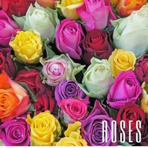 Meet your Posher, Sheetal